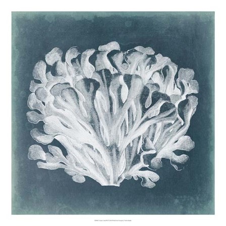 Azure Coral III by Vision Studio art print