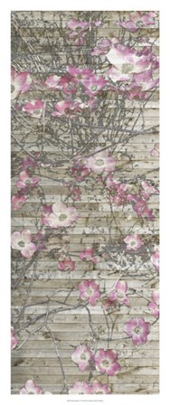 Dogwood Dance I by Jennifer Goldberger art print