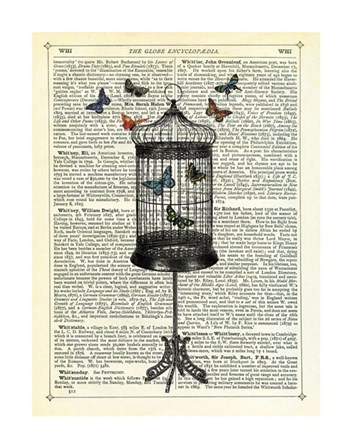Bird Cage &amp; Butterflies by Marion McConaghie art print