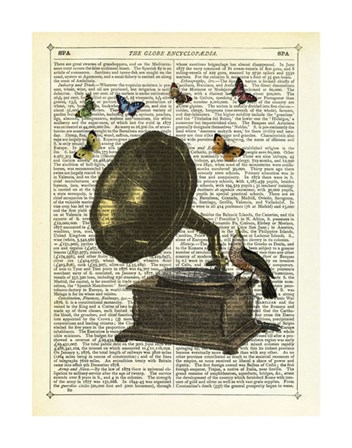 Gramophone, Bird &amp; Butterflies by Marion McConaghie art print