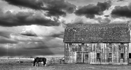 Horse and Barn by Trent Foltz art print
