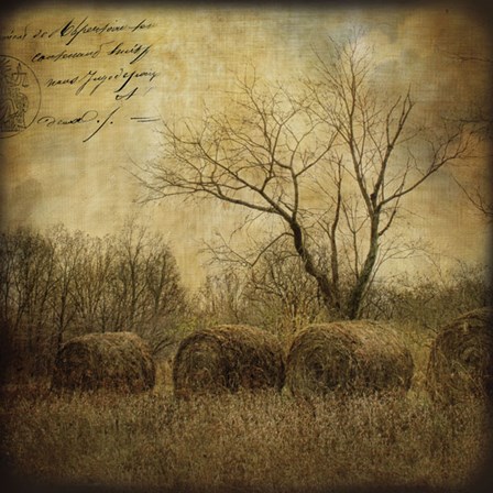 Hayrollers by Dawne Polis art print