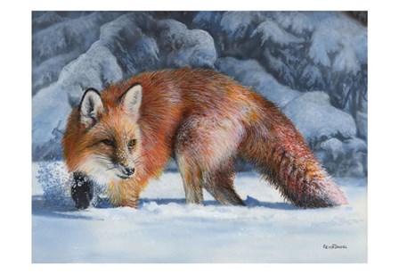 Fox at the Pines by Kevin Daniel art print