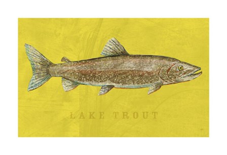 Lake Trout by John W. Golden art print