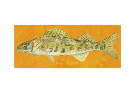 Walleye by John W. Golden art print