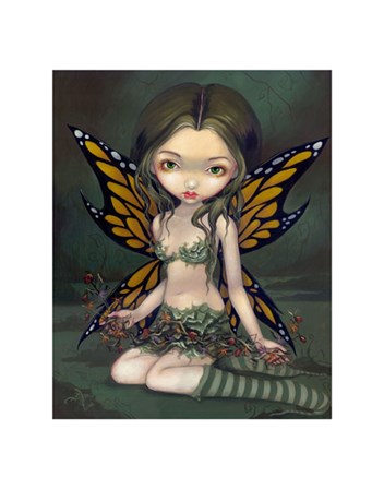 Fairy with Dried Flowers by Jasmine Becket-Griffith art print