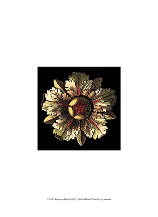 Rosette on Black III by Da Carlo Antonini art print