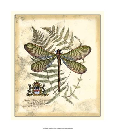 Regal Dragonfly II by Vision Studio art print