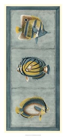 Tropical Fish Trio I by Vision Studio art print