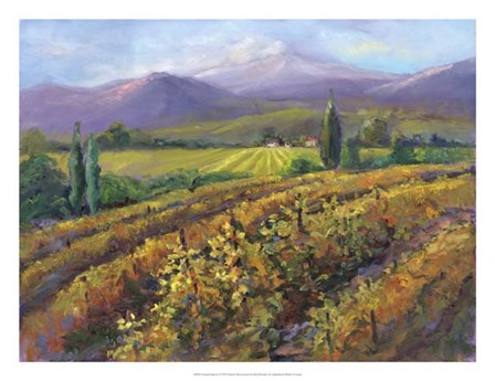 Vineyard Tapestry I by Nanette Oleson art print