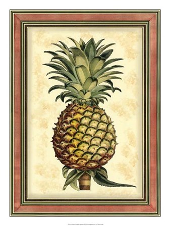 Pineapple Splendor II by Vision Studio art print