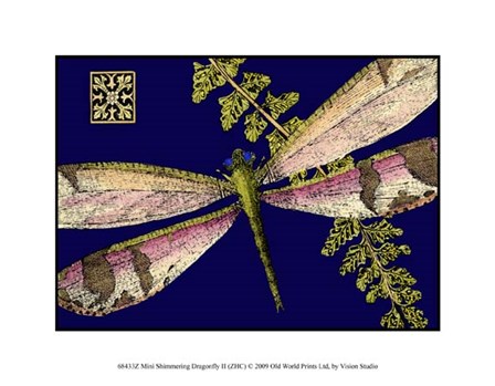 Mini Shimmering Dragonfly II by Vision Studio art print