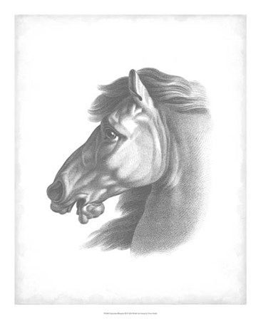 Equestrian Blueprint III by Vision Studio art print