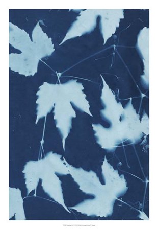 Cyanotype No.10 by Renee Stramel art print