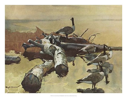 Geese on the Great Flyway by Roy M. Mason art print