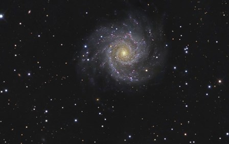 Messier 74, A Spiral Galaxy in the Constellation Pisces by R Jay GaBany/Stocktrek Images art print