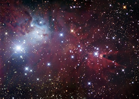 The Cone Nebula Region by Robert Gendler/Stocktrek Images art print