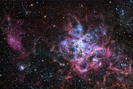 The Tarantula Nebula by R Jay GaBany/Stocktrek Images art print