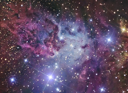 The Fox Fur Nebula by R Jay GaBany/Stocktrek Images art print