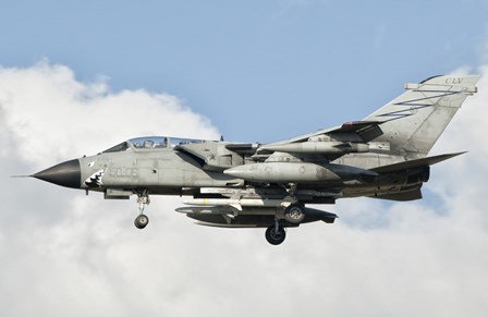 Italian Air Force Panavia Tornado ECR  in flight by Giovanni Colla/Stocktrek Images art print