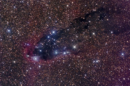 The Dark Tower, Cometary Globule in Scorpius by Robert Gendler/Stocktrek Images art print