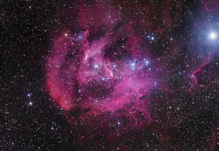 The Running Chicken Nebula by Robert Gendler/Stocktrek Images art print