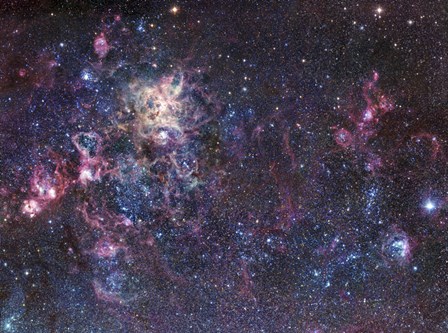 The Tarantula Nebula by Robert Gendler/Stocktrek Images art print