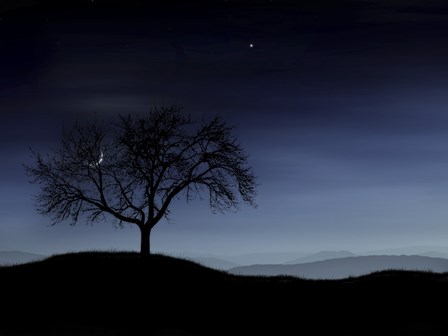 Tree and the Moon by Vlad Gerasimov/Stocktrek Images art print