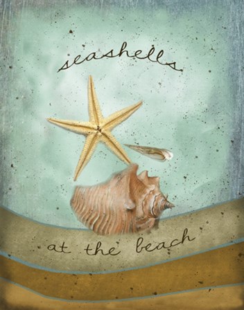 Seashells by Beth Albert art print