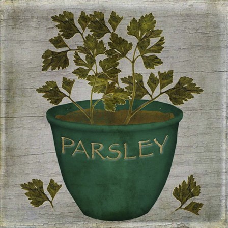 Herb Parsley by Beth Albert art print