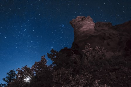 Moon Rises through Trees in Oklahoma by John Davis/Stocktrek Images art print