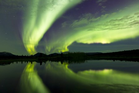 Aurora Borealis Whitehorse, Yukon, Canada by Joseph Bradley/Stocktrek Images art print