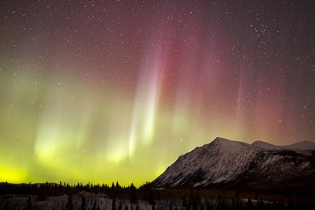 Red Aurora Borealis over Carcross Desert, Canada by Joseph Bradley/Stocktrek Images art print