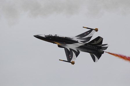 A T-50 Golden Eagle from the Republic of Korea Air Force Aerobatic Team by Ofer Zidon/Stocktrek Images art print