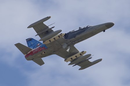 Czech Air Force Aero L-159T Advanced Light Combat Aircraft by Timm Ziegenthaler/Stocktrek Images art print