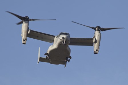 An MV-22B Osprey Prepares for Landing by Timm Ziegenthaler/Stocktrek Images art print