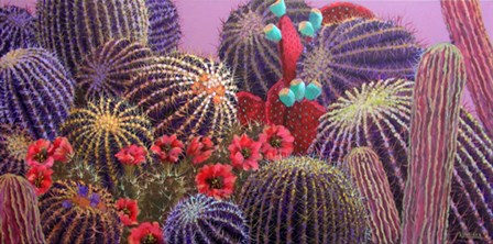 Barrel Cactus 1 by Sharon Weiser art print