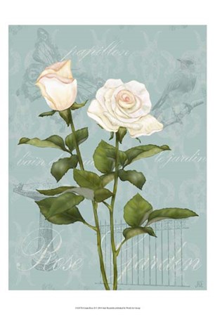 Cream Rose II by Jade Reynolds art print