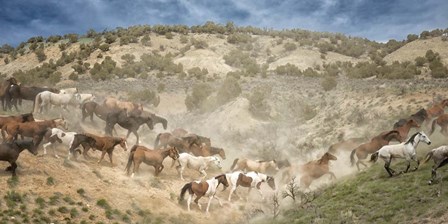 Moving the Herd by PHBurchett art print