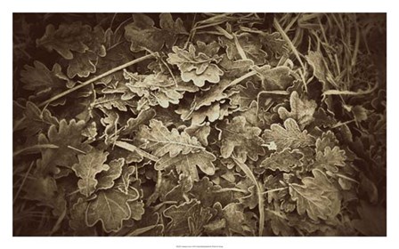 Autumn Leaves by Lillian Bell art print