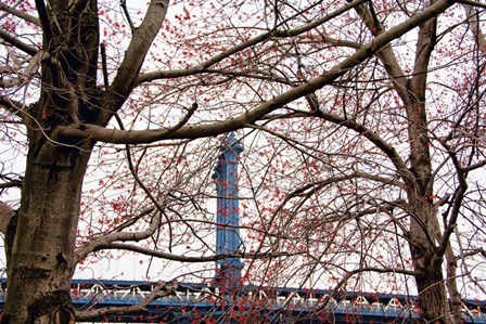 Red Blooms in Brooklyn by Erin Clark art print