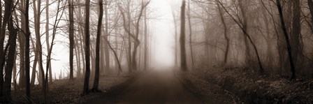 Woodland Walk (Sepia) by Erin Clark art print