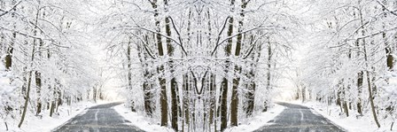 Two Roads Diverged in a Snowy Wood by Erin Clark art print