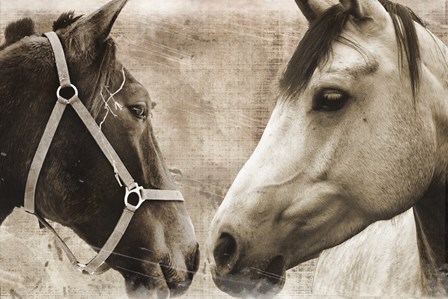 Horse Pair by Erin Clark art print