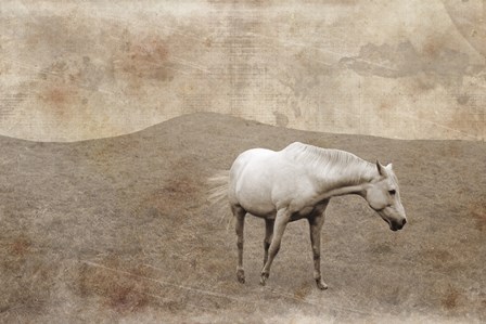 White Horse Vintage by Erin Clark art print