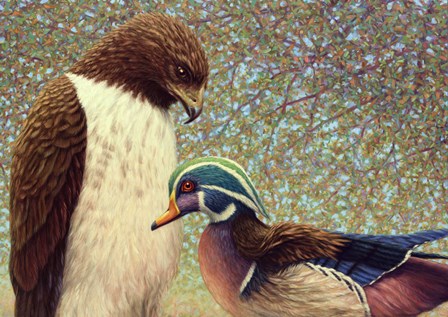 An Odd Couple by James W. Johnson art print
