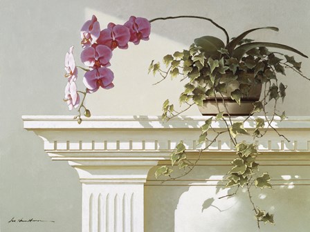 Orchid On Mantle by Zhen-Huan Lu art print