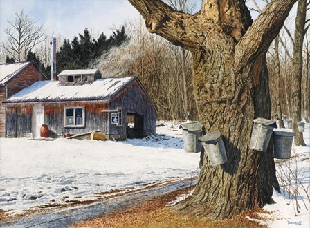Sugarhouse Near Becket by Michael Davidoff art print
