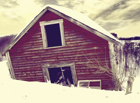 Abandoned by Mindy Sommers art print