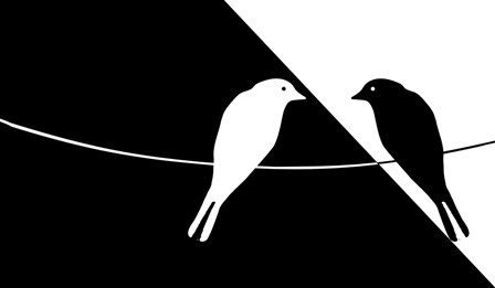 Black and White Birds by Mindy Sommers art print